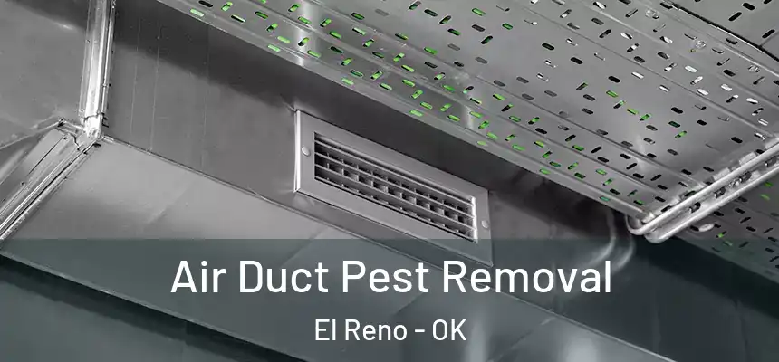  Air Duct Pest Removal El Reno - OK