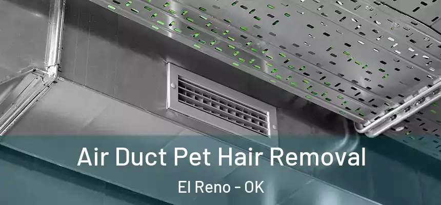  Air Duct Pet Hair Removal El Reno - OK