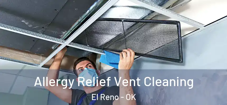  Allergy Relief Vent Cleaning El Reno - OK
