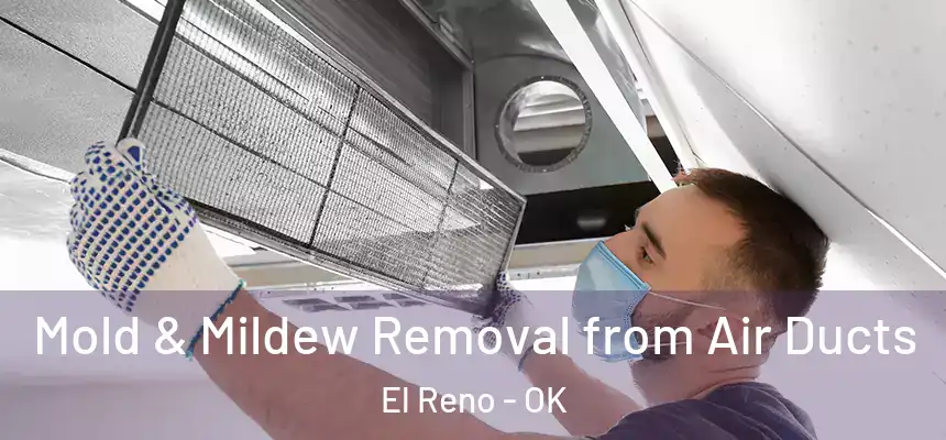  Mold & Mildew Removal from Air Ducts El Reno - OK