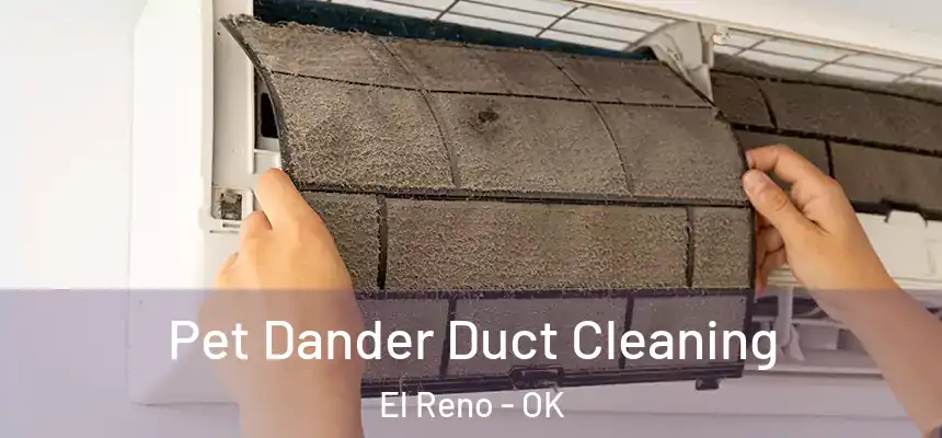  Pet Dander Duct Cleaning El Reno - OK