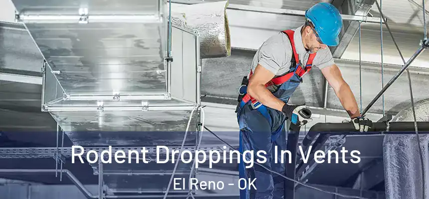  Rodent Droppings In Vents El Reno - OK