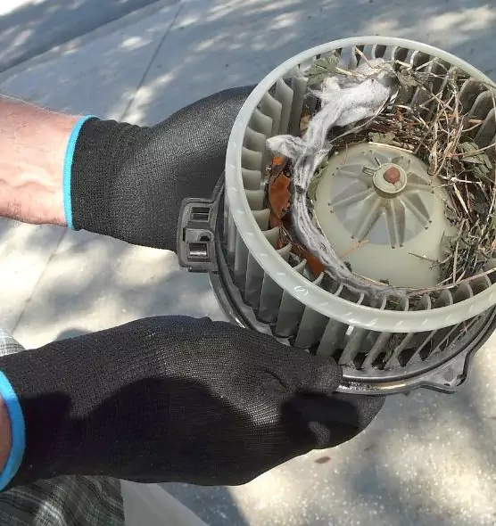 About Air Duct Mice Removal in El Reno, OK